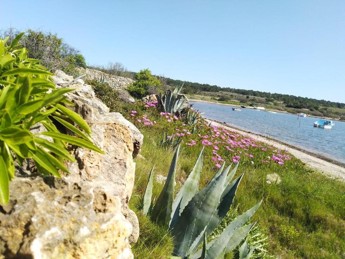 Studio Nefs Des Sables Leucate Exterior photo